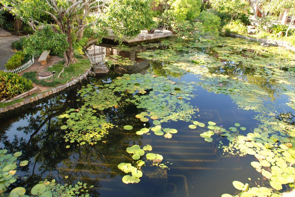 מוטובו Yukurinaresort Okinawa Hills Churaumi מראה חיצוני תמונה