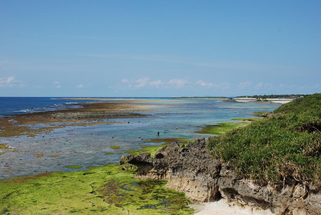 מוטובו Yukurinaresort Okinawa Hills Churaumi מראה חיצוני תמונה